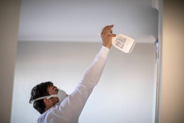 Best Insurance-Related Mold Remediation in North Plainfield, NJ