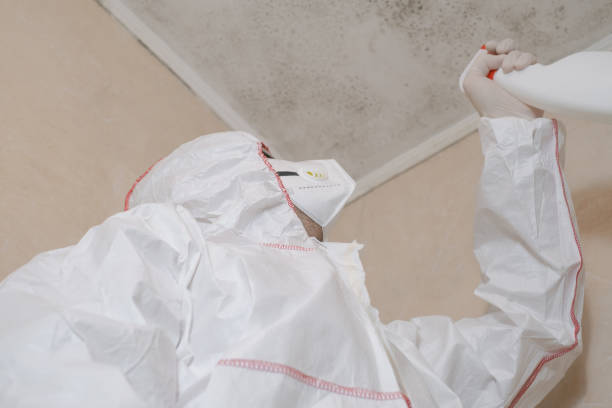 Best Mold Testing and Inspection Services in North Plainfield, NJ